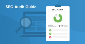 seo-audit